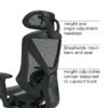 Union & Scale™ FlexFit™ Dexley Ergonomic Mesh Swivel Task Chair, Black (UN56946)