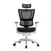 Eurotech IOO Ergonomic Mesh Chair Headrest, White (IOO-HDRWHT)