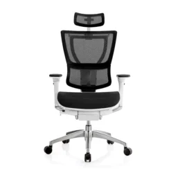 Eurotech IOO Ergonomic Mesh Chair Headrest, White (IOO-HDRWHT)