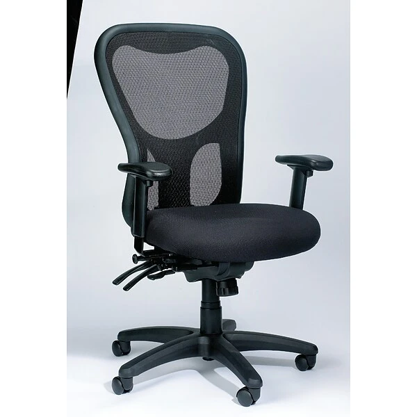 Raynor Eurotech Seating Apollo Mesh Desk Chair, Center And Forward Tilt, Black