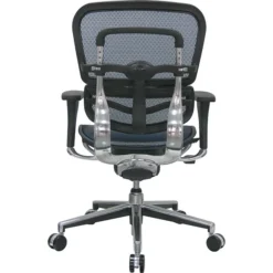 Raynor Eurotech Ergo Human Mesh Mid Back Task Chair, Blue