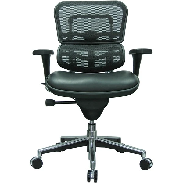 Raynor Eurotech Mesh/Leather Mid Back Ergo Human Chair, Black - Image 3
