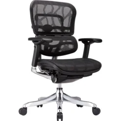 Raynor Eurotech Ergohuman Mid Back Executive Chair, Patterned Mesh, Black