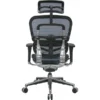 Raynor Eurotech Ergo Human High Back Managers Chair, With Headrest And Mesh, Blue
