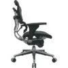 Raynor Eurotech Ergo Human Mesh Mid Back Task Chair, Green