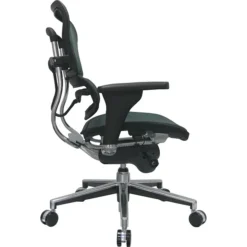 Raynor Eurotech Ergo Human Mesh Mid Back Task Chair, Green