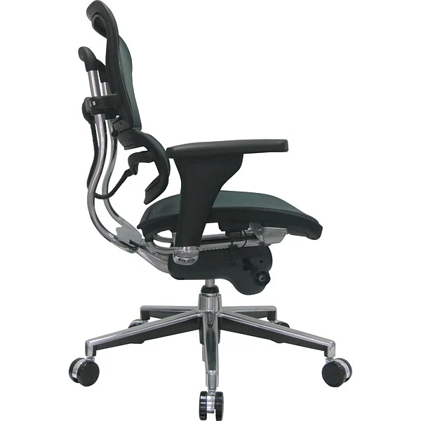 Raynor Eurotech Ergo Human Mesh Mid Back Task Chair, Green