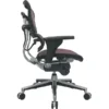 Raynor Eurotech Ergo Human Mesh Mid Back Task Chair, Plum Red
