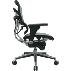 Raynor Eurotech Ergo Human Mesh Mid Back Task Chair, Gray