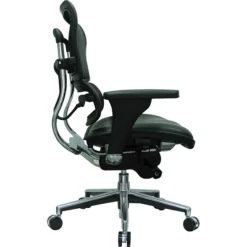 Raynor Eurotech Mesh/Leather Mid Back Ergo Human Chair, Black