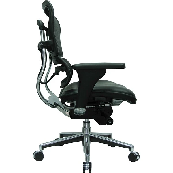 Raynor Eurotech Mesh/Leather Mid Back Ergo Human Chair, Black