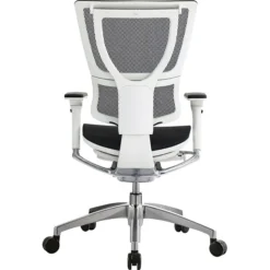 Raynor Eurotech IOO Series Mid-Back Managers Chair, Mesh, Black With White Frame