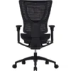 Raynor Eurotech IOO Series Mid-Back Managers Chair, Mesh, Black With Black Frame