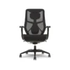 Beautyrest Duo-EX Ergonomic Mesh Swivel Task Chair, Black/Gray (60051GRY)