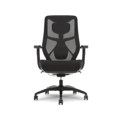 Beautyrest Duo-EX Ergonomic Mesh Swivel Task Chair, Black/Gray (60051GRY)
