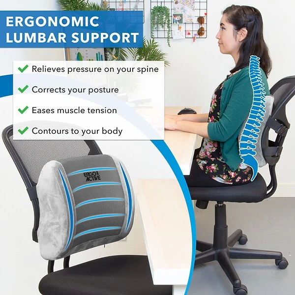 Mount-It! ErgoActive Lumbar Support Cushion With Straps, Breathable Mesh Cover, Gray (MI-1013) - Image 3