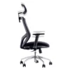 Urban Factory ERGO Ergonomic Adjustable Office Chair, Black (ESC01UF)
