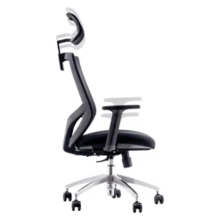 Urban Factory ERGO Ergonomic Adjustable Office Chair, Black (ESC01UF)