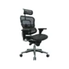 Eurotech High Back Mesh Task Chair, Black (ME7ERG(N))