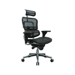 Eurotech High Back Mesh Task Chair, Black (ME7ERG(N))