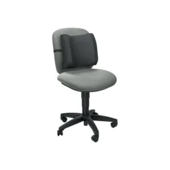 Fellowes Standard Back Support, Black (91905)